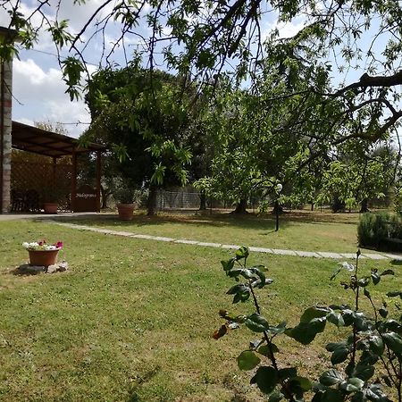 Agriturismo Podere Selvette Campagnatico Exterior photo