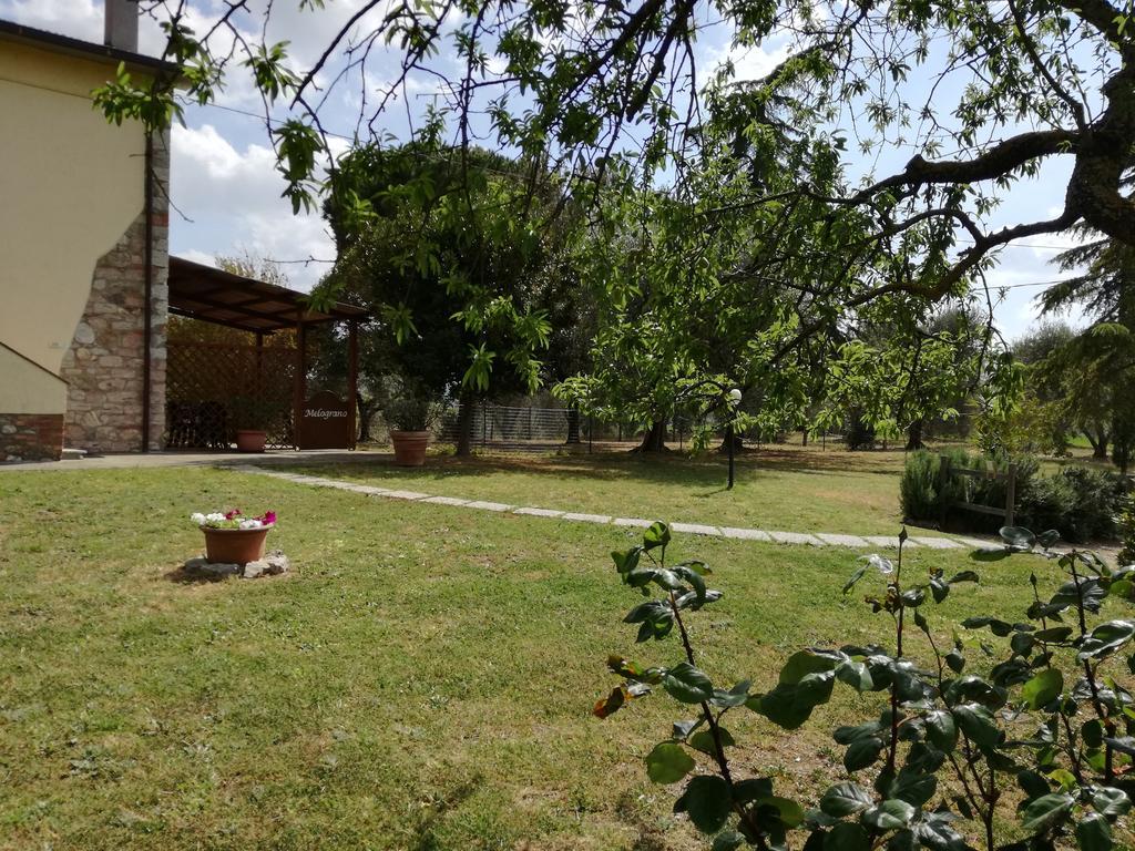 Agriturismo Podere Selvette Campagnatico Exterior photo