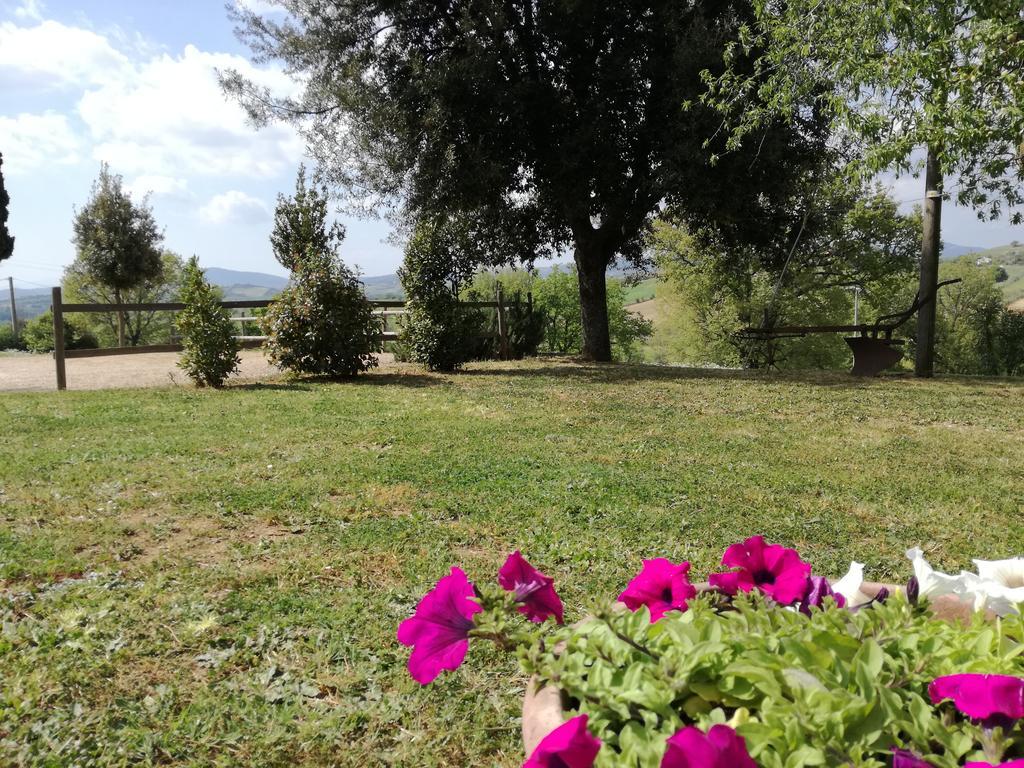 Agriturismo Podere Selvette Campagnatico Exterior photo